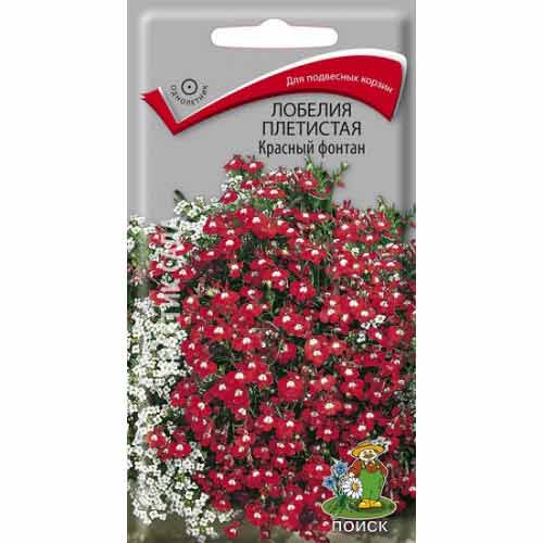 Лобелия плетистая Красный фонтан Поиск изображение 1 артикул 97882