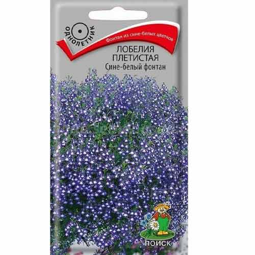 Лобелия плетистая Сине-белый фонтан Поиск изображение 1 артикул 97884