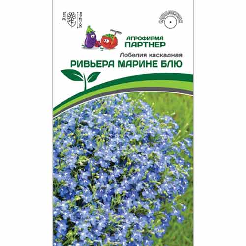 Лобелия каскадная Ривьера Марине Блю Партнер артикул фото 1 Лобелия каскадная Ривьера Марине Блю Партнер изображение 1 артикул 84825