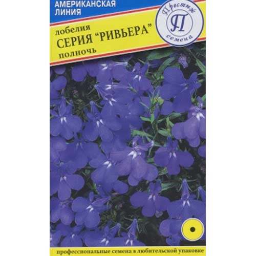 Лобелия Ривьера Полночь Престиж изображение 1 артикул 81360