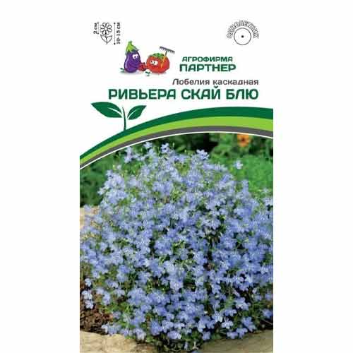 Лобелия каскадная Ривьера Скай Блю Партнер артикул фото 1 Лобелия каскадная Ривьера Скай Блю Партнер изображение 1 артикул 84824