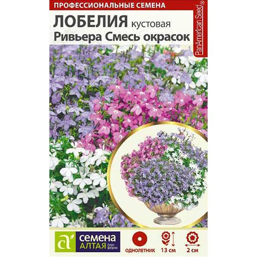 Лобелия Ривьера, смесь окрасок Семена Алтая артикул фото 1 Лобелия Ривьера, смесь окрасок Семена Алтая изображение 1 артикул 78261
