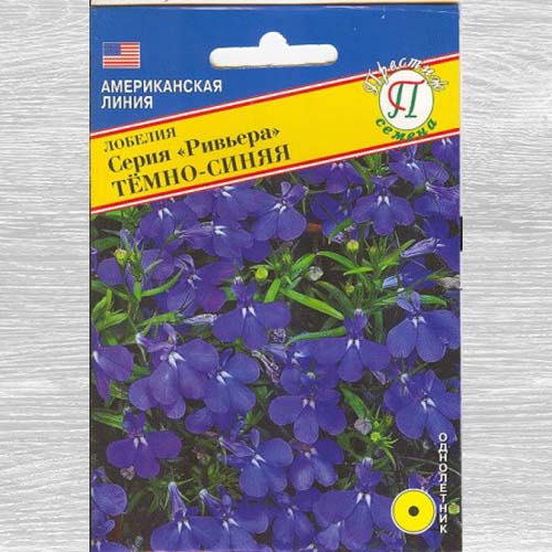 Лобелия Ривьера Тёмно-синяя артикул фото 1 Лобелия Ривьера Тёмно-синяя изображение 1 артикул 73659