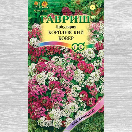 Лобулярия Королевский ковер, смесь окрасок Гавриш артикул фото 1 Лобулярия Королевский ковер, смесь окрасок Гавриш изображение 1 артикул 82402