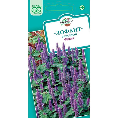 Лофант анисовый Франт Гавриш изображение 1 артикул 91720