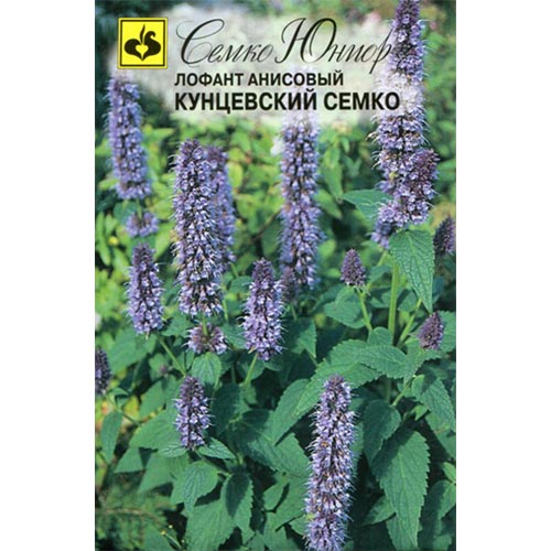 Лофант анисовый Кунцевский Семко изображение 1 артикул 94250