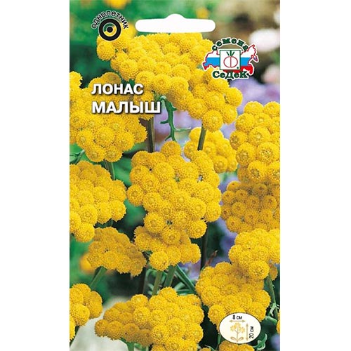 Лонас Малыш Седек изображение 1 артикул 93883