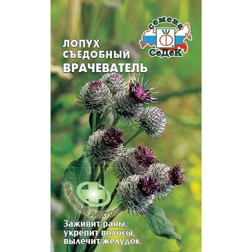 Лопух японский Врачеватель Седек изображение 1 артикул 93418
