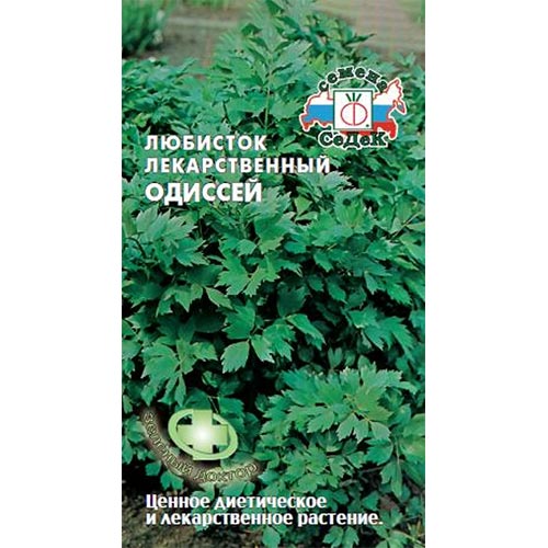 Любисток Одиссей Седек изображение 1 артикул 93426
