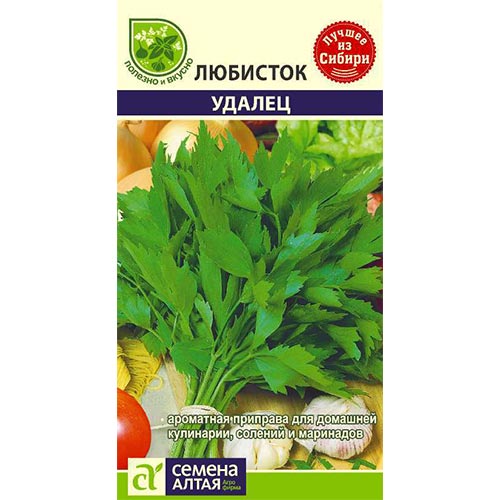 Любисток Удалец Семена Алтая изображение 1 артикул 81510