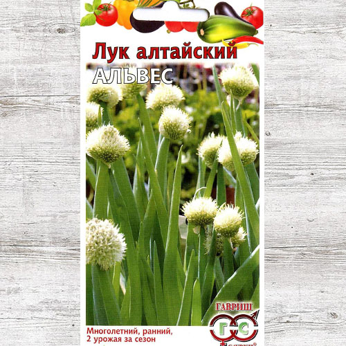 Лук алтайский Альвес Гавриш изображение 1 артикул 71020