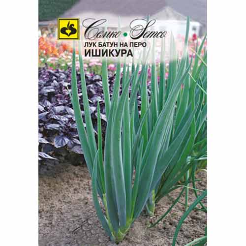 Лук батун Ишикура Семко изображение 1 артикул 94896