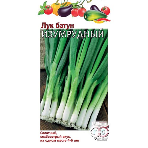 Лук батун Изумрудный Гавриш изображение 1 артикул 91722