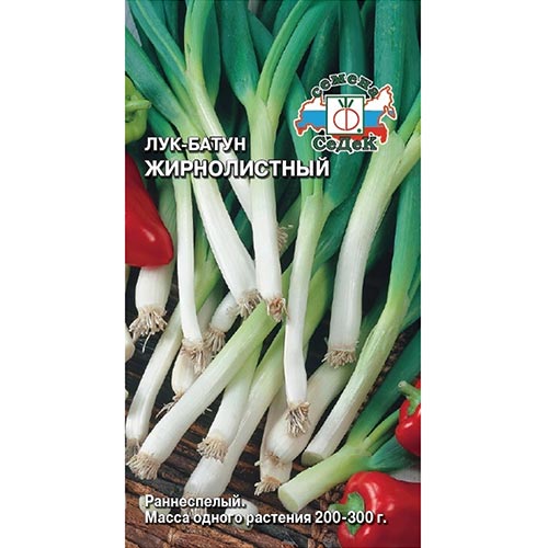Лук батун Жирнолистный Седек изображение 1 артикул 93419