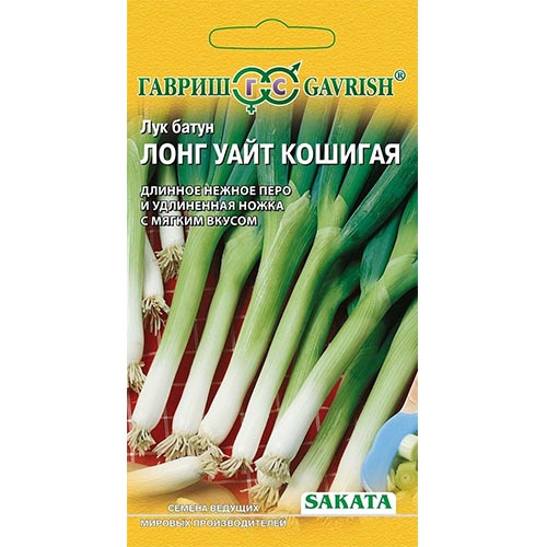 Лук батун Лонг Уайт Кошигая Гавриш изображение 1 артикул 91724
