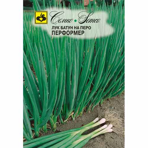 Лук батун Перформер Семко изображение 1 артикул 94099