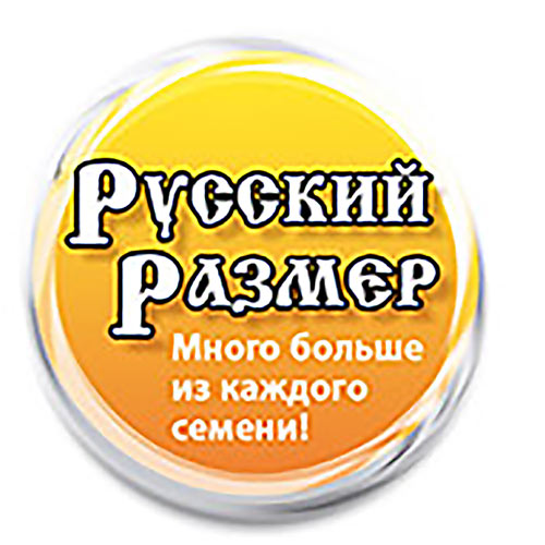 Лук Батун РР, семена изображение 2 артикул 7714