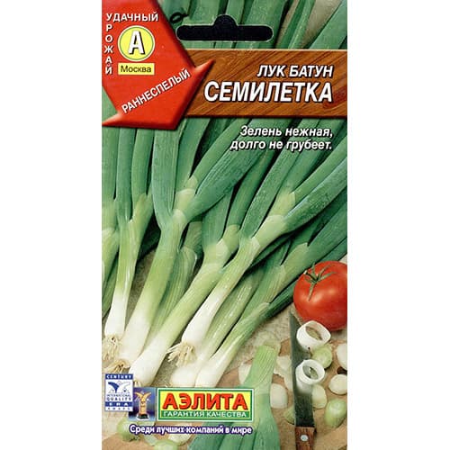 Лук батун Семилетка Аэлита изображение 1 артикул 98314
