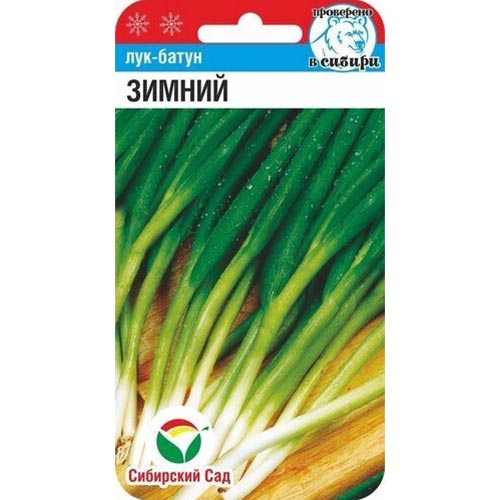 Лук батун Зимний Сибирский сад изображение 1 артикул 66630
