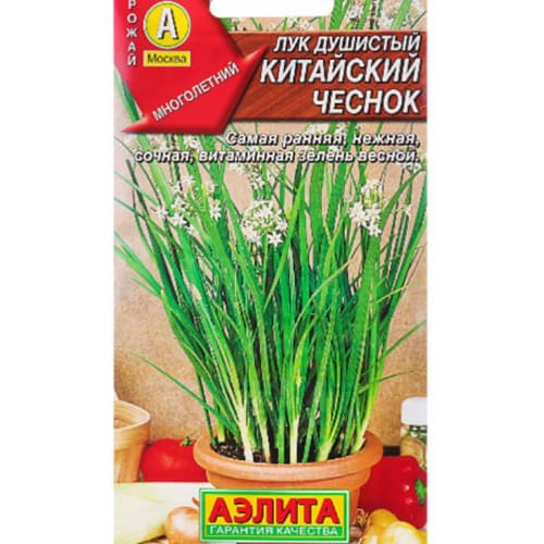 Лук душистый Китайский чеснок Аэлита изображение 1 артикул 98315