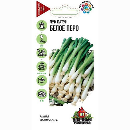 Лук батун Белое перо, семена изображение 1 артикул 71025