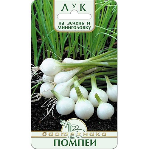 Лук на зелень и мини-головку Помпеи Биотехника изображение 1 артикул 91512