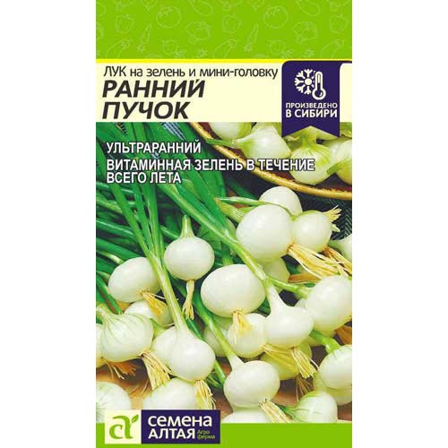 Лук на зелень и мини-головку Ранний пучок Семена Алтая изображение 1 артикул 94061