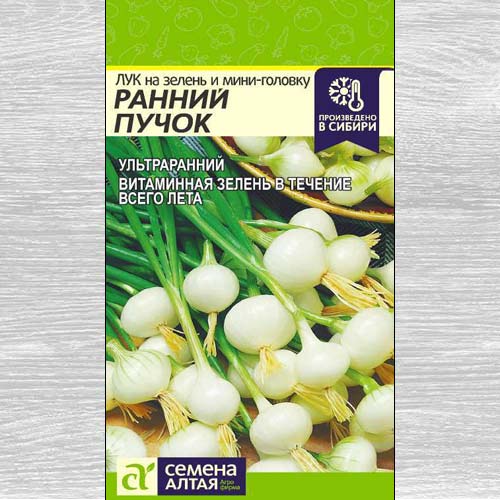 Лук на зелень и мини-головку Ранний пучок изображение 1 артикул 78072