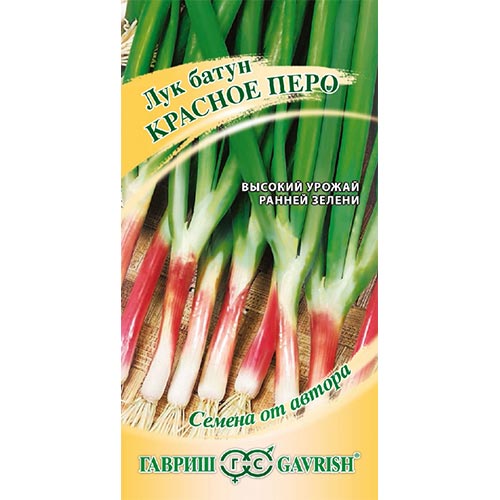 Лук на зелень Красное перо Гавриш изображение 1 артикул 91733