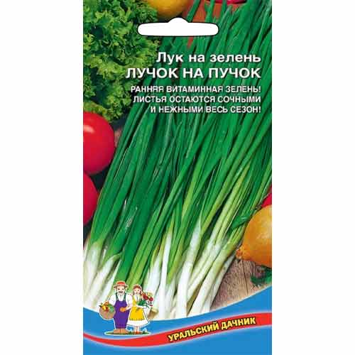 Лук на зелень Лучок на пучок Уральский дачник изображение 1 артикул 83026