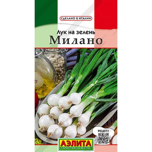 Лук на зелень Милано Аэлита изображение 1 артикул 98318