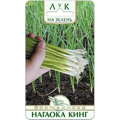 Лук на зелень Нагаока Кинг Биотехника изображение 1 артикул 97289