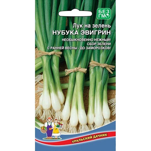 Лук на зелень Нубука Эвигрин Уральский дачник изображение 1 артикул 94555