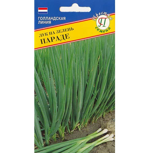 Лук на зелень Параде Престиж изображение 1 артикул 81156