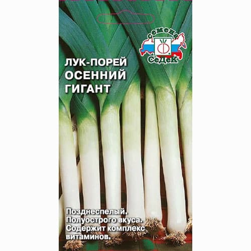 Лук порей Осенний гигант Седек артикул фото 1 Лук порей Осенний гигант Седек изображение 1 артикул 93422