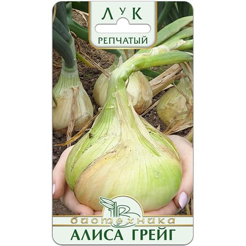 Лук репчатый Алиса Грейг Биотехника артикул фото 1 Лук репчатый Алиса Грейг Биотехника изображение 1 артикул 97291