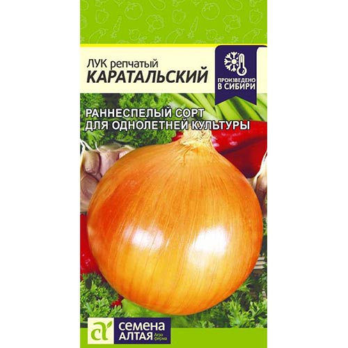 Лук репчатый Каратальский Семена Алтая артикул фото 1 Лук репчатый Каратальский Семена Алтая изображение 1 артикул 81505