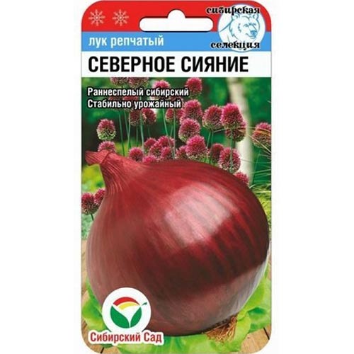 Лук репчатый Северное сияние Сибирский сад артикул фото 1 Лук репчатый Северное сияние Сибирский сад изображение 1 артикул 78398