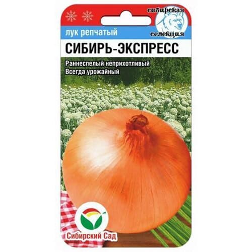 Лук репчатый Сибирь-Экспресс Сибирский сад изображение 1 артикул 97143
