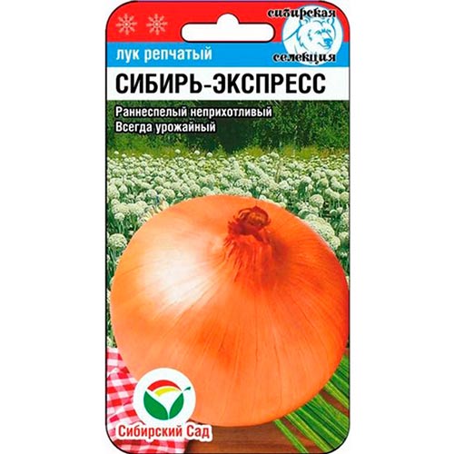 Лук репчатый Сибиряк Сибирский сад изображение 1 артикул 66634