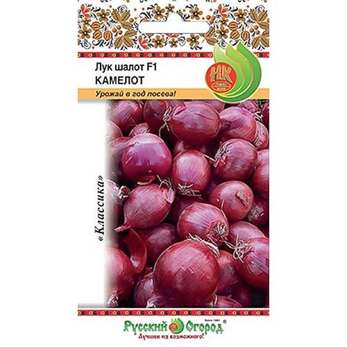 Лук шалот Камелот F1 НК изображение 1 артикул 92335