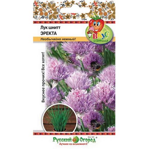 Лук шнитт Эректа НК изображение 1 артикул 92336