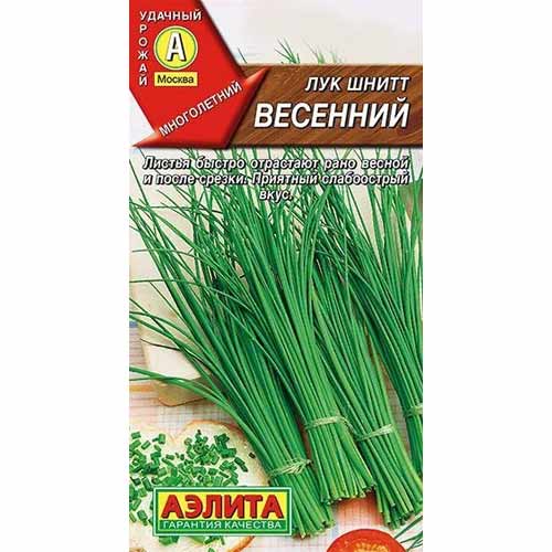 Лук шнитт Весенний Аэлита изображение 1 артикул 40091