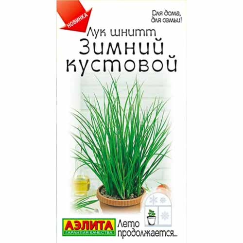 Лук шнитт Зимний кустовой Аэлита изображение 1 артикул 40092