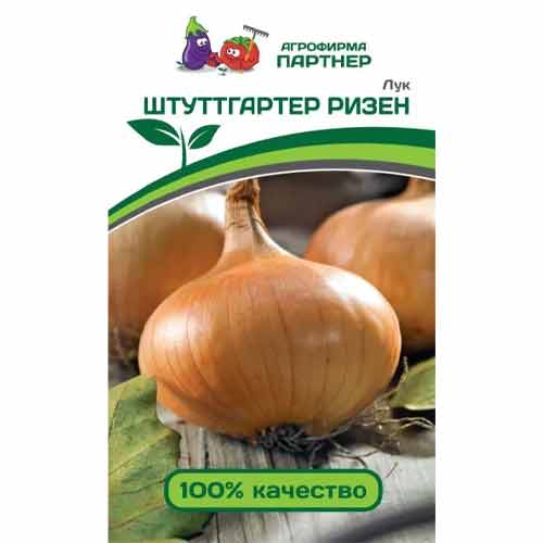Лук репчатый Штуттгартер Ризен Партнер изображение 1 артикул 81020