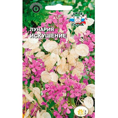 Лунария Искушение Седек изображение 1 артикул 93885