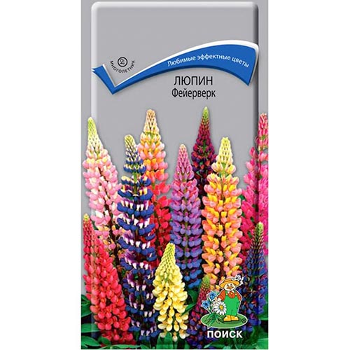 Люпин Фейерверк, смесь окрасок Поиск изображение 1 артикул 93040