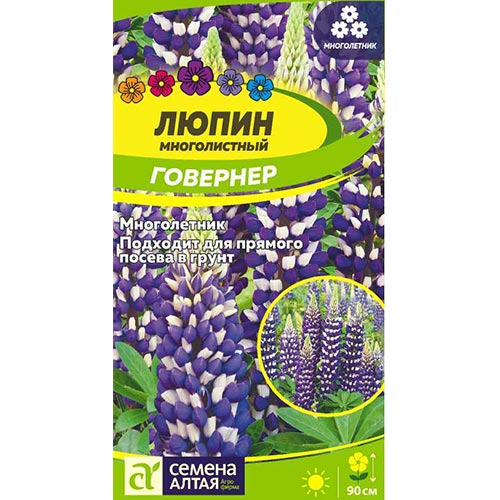 Люпин Говернер Семена Алтая изображение 1 артикул 94192