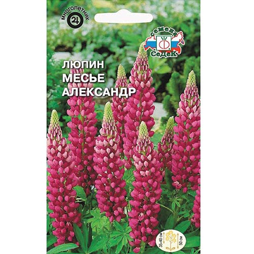 Люпин Месье Александр Седек изображение 1 артикул 93889