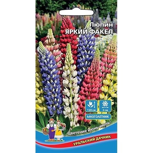 Люпин Яркий факел, смесь окрасок Уральский дачник изображение 1 артикул 94824